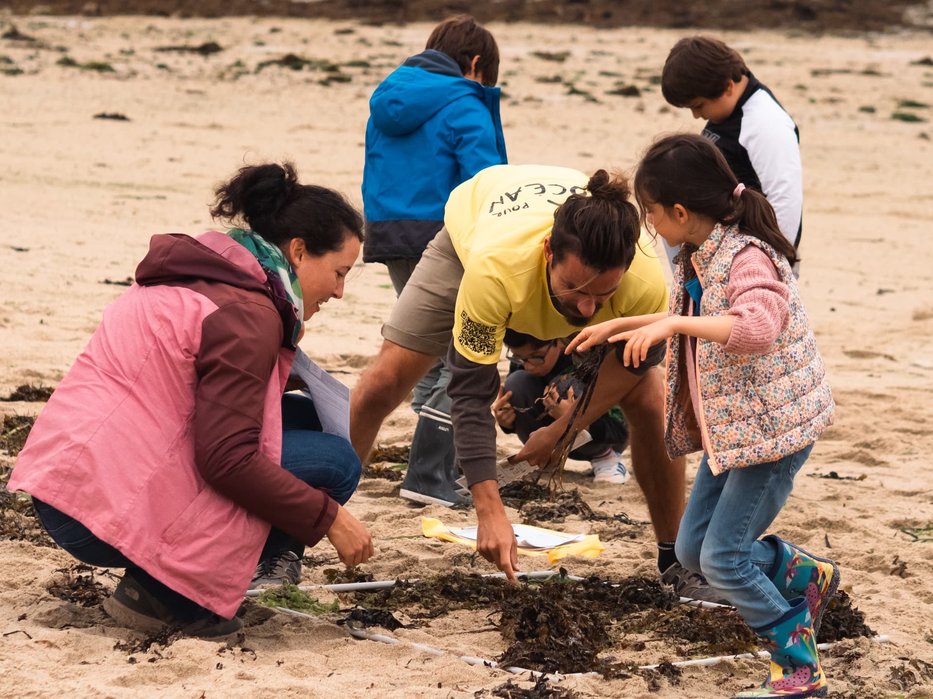 Enfants et animateurs observant les algues sur la plage