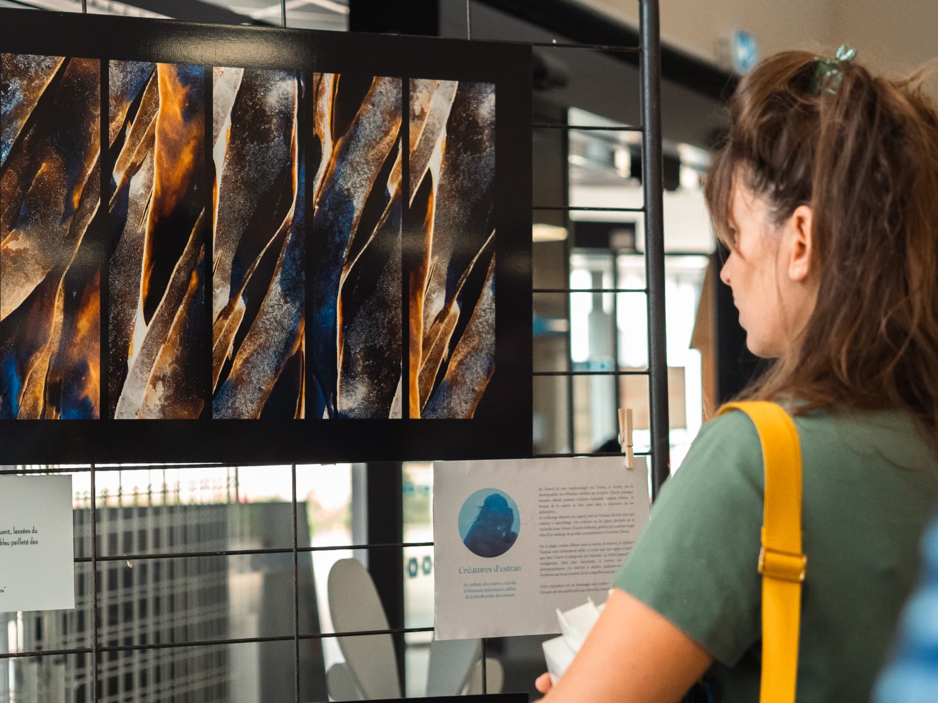 Visiteuse devant les photographies Créatures d'estran